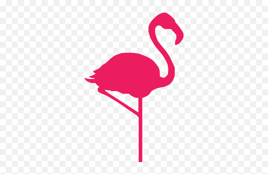 Flamingo Png Photo - Pink Flamingo Icon Png Flamingo,512x512 Png Images