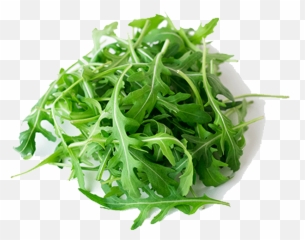 Celery Transparent Png Image - Arugula,Celery Png