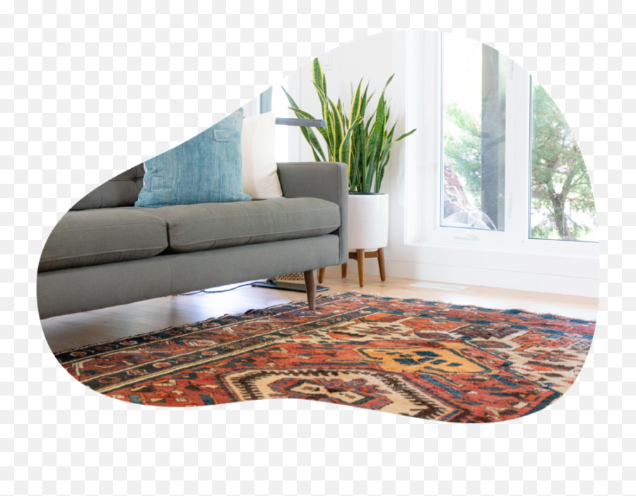 Download Urbanyou Carpet - Cleaning Persian Rug In Living Decoracion Planta Lengua De Suegra Png,Living Room Png