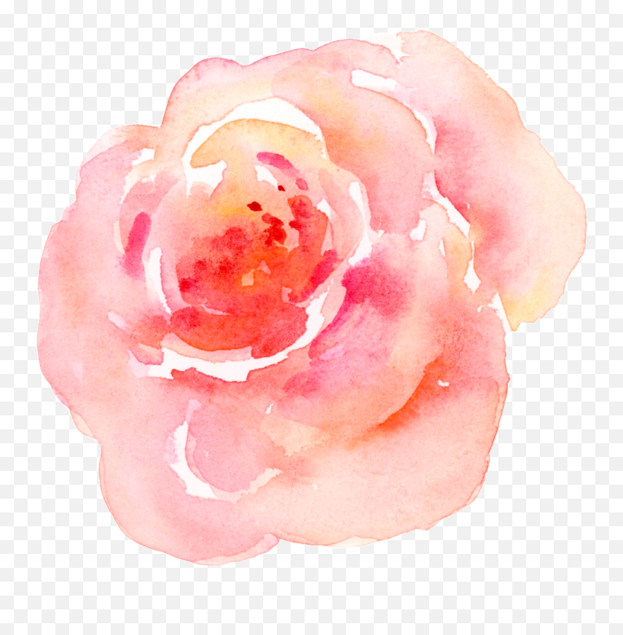 Pink Watercolor Flower Transparent - Transparent Pink Watercolor Flower Png,Pink Watercolor Png