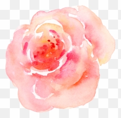Pink Watercolor Flower Transparent - png