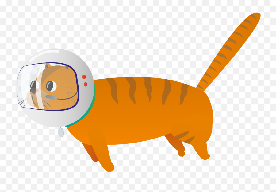Gravity Simulator - Cat Png,Scratch Cat Png