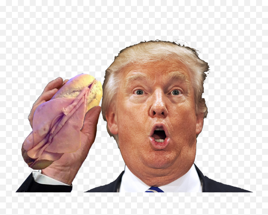 Transparent Trump - Headshot Of Donald Trump Png,Trump Head Transparent Background