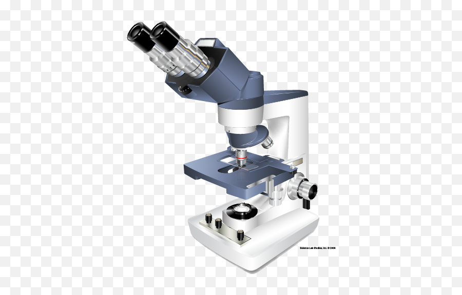 About Us U2014 Science Lab Studios Inc - Petrographic Microscope Png,Microscope Png