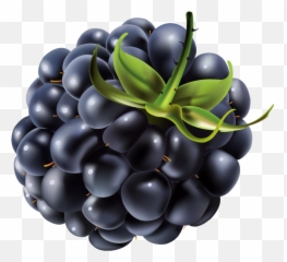 Blackberries Png Files - Blackberry Png,Blackberries Png