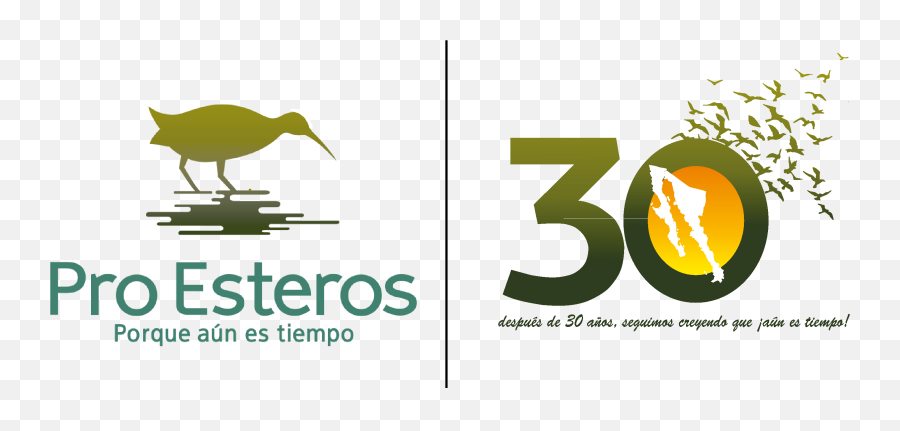 30th Anniversary Of Pro Esteros A - Vertical Png,Uabc Logos