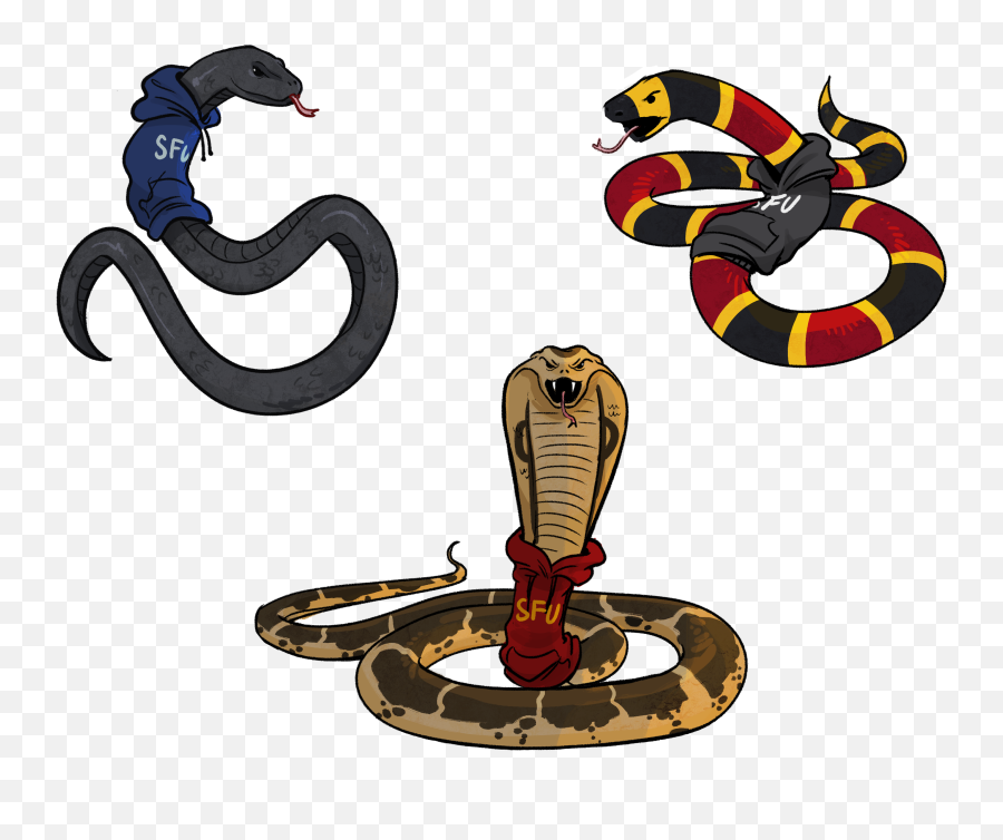 The Deadly Deadlier And Deadliest Snakes - Snake Png,Snakes Png