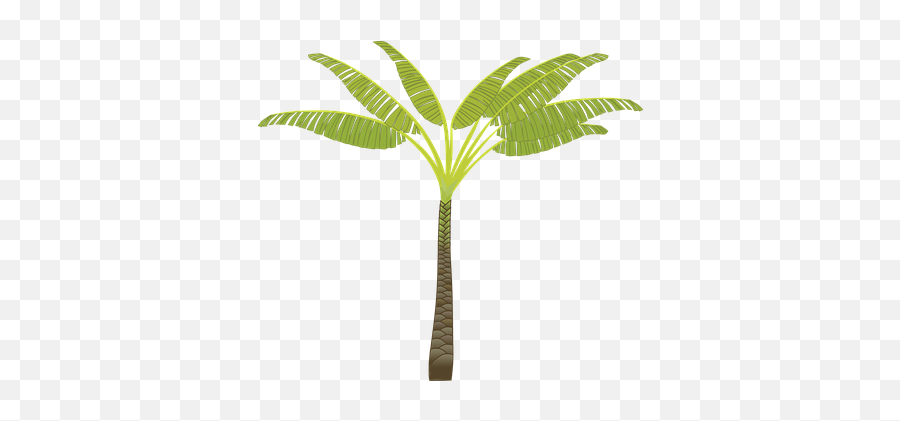Over 60 Free Palm Leaves Vectors - Pixabay Pixabay Palm Tree Clip Art Png,Palm Leaf Transparent