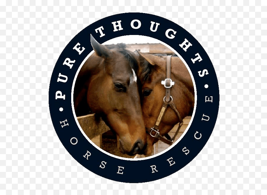 Horse Rescue Volunteer Loxahatchee Fl - Pure Thoughts Social Sciences University Of Ankara Png,Horse Logos