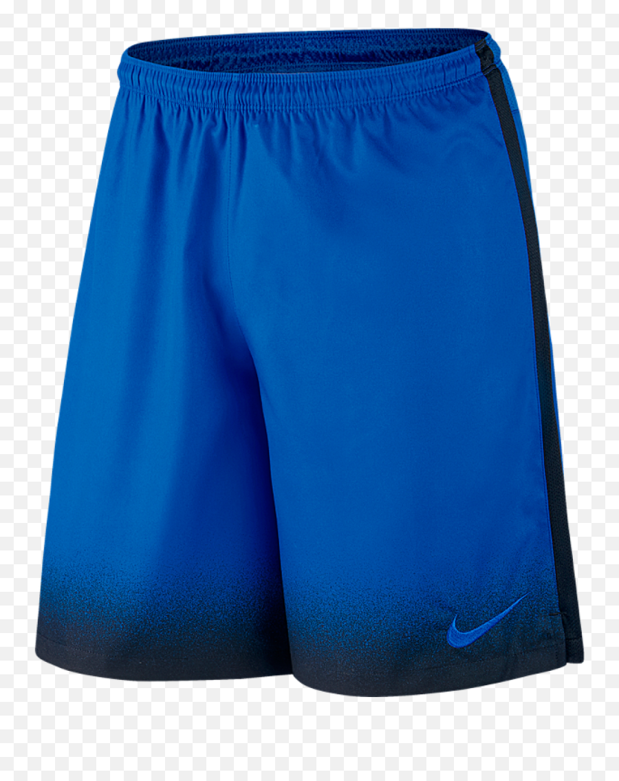 Royal Blue Nike Shorts 016c44 - Boardshorts Png,Nike Icon Mesh Shorts