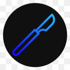Privacy Policy - The Annual Congress of Surgery for Students Language png