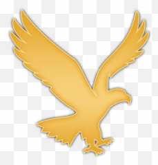 Phladelpha Eagles Png Logo - Golden