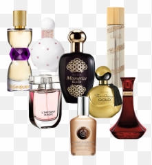 November 2015 - Adjusting Beauty png