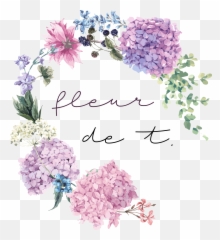 Fleur De T Weddings Florist Freelance Midlands - Floral Greeting Card With Blooming Hydrangea Vector Png,Wedding Flowers Png