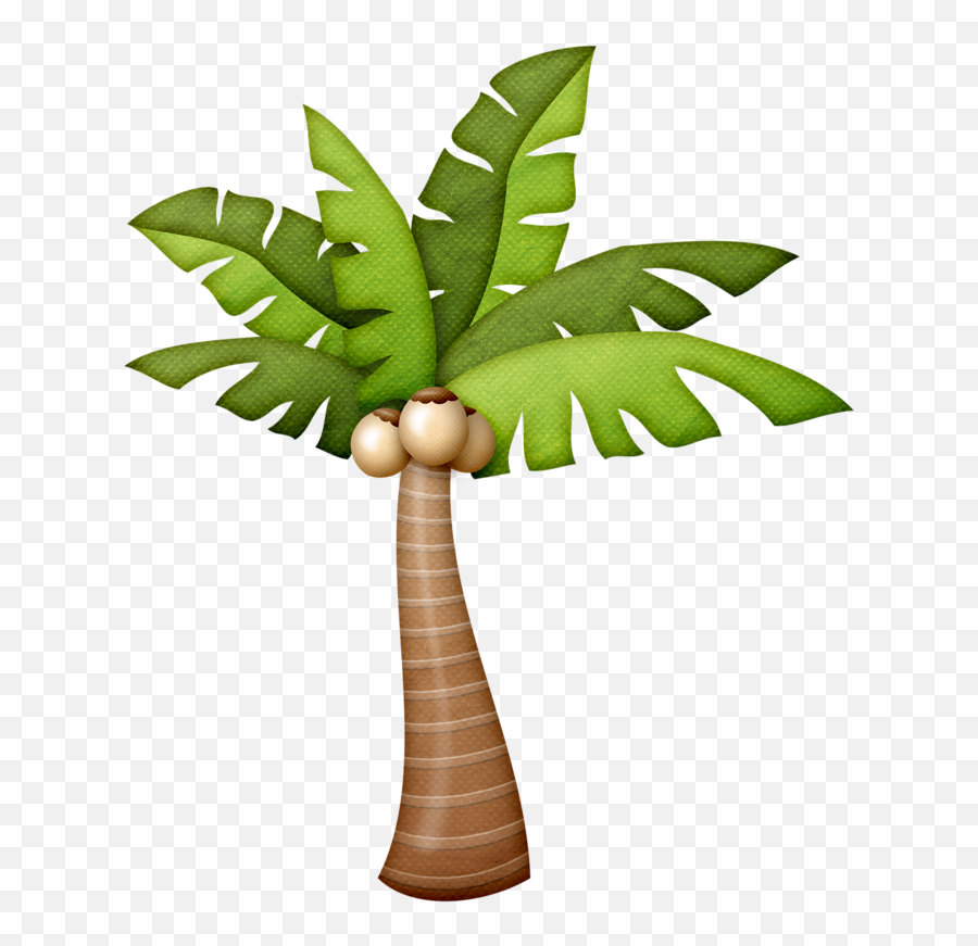 Palm Tree Pictures Summer - Imagen De Una Palmera Animado Png,Palmeras Png