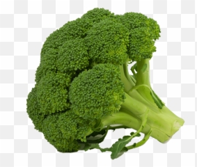 Benefits Of Broccoli Juice - Images With White Background png