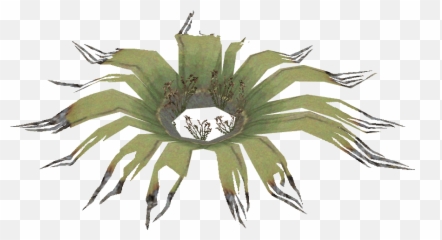 Download Centipede Png Image With - Artificial Flower,Centipede Png