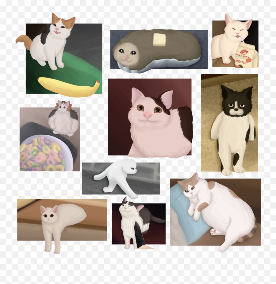 Download I Drew Some Cursed Cats - Cursed Cats Full Size Cursed Cat Png,Cats Png