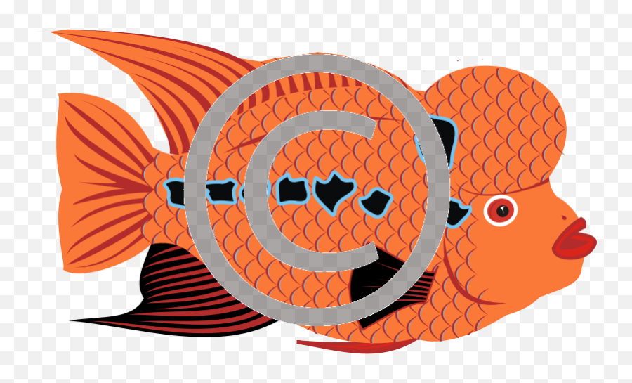 Goldfish - Clip Art Png,Gold Fish Png