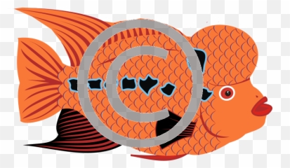 Goldfish - Clip Art Png,Gold Fish Png