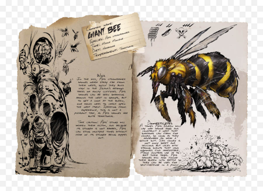 Survival - Ark Survival Evolved Giant Bee Png,Bee Png