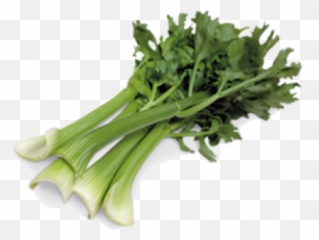 Download Celery Png Image With No - Chicory,Celery Png