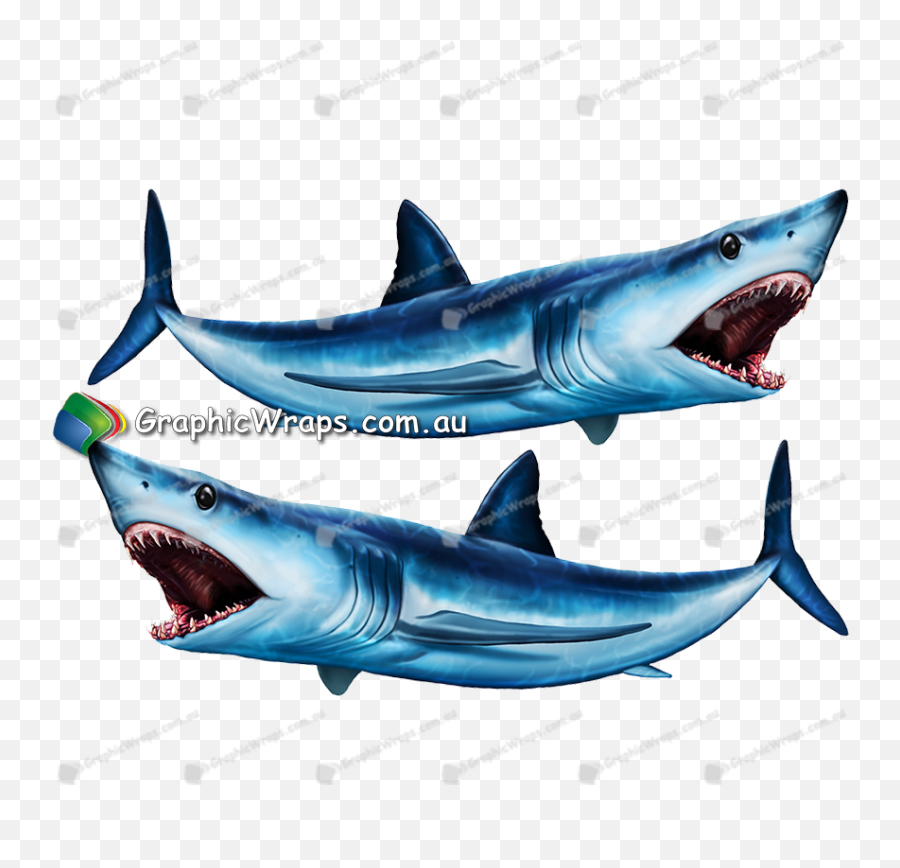 Mako - Great White Shark Png,Great White Shark Png