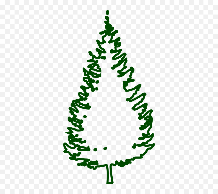 Fir Tree Conifer - Free Vector Graphic On Pixabay Transparent Christmas Tree Outline Png,Tree Outline Png