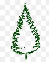 Fir Tree Conifer - Free vector graphic Pixabay Transparent Christmas Outline Png
