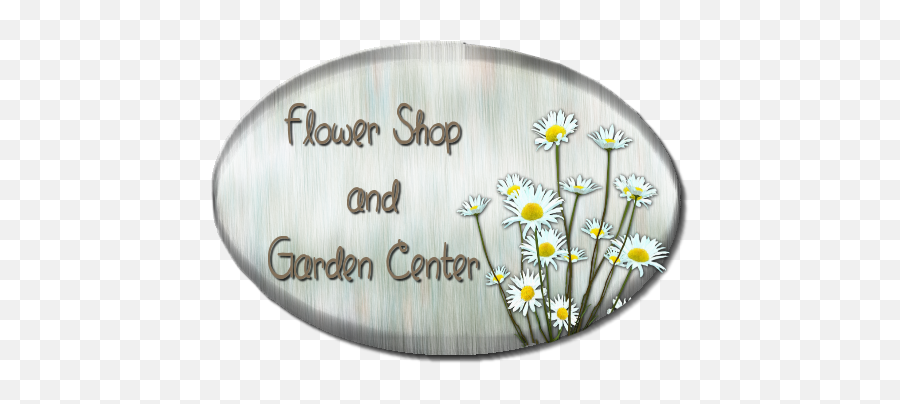 Script Library - Camomile Png,Daisies Png