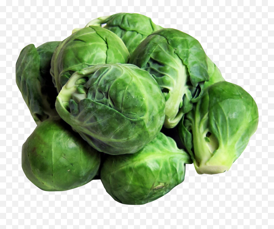 Download Brussels Sprouts Png Image For Free - Brussels Sprouts Clipart Png,Cabbage Transparent Background