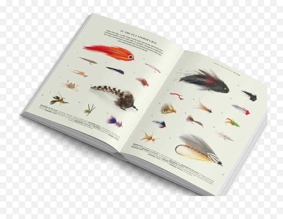 Essence And Essentials Of Fly Fishing - Horizontal Png,Flies Png