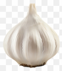 Alabama Gardens Garlic Living Magazine In 2020 - Garlic Bulb No Background Png,Garlic Png