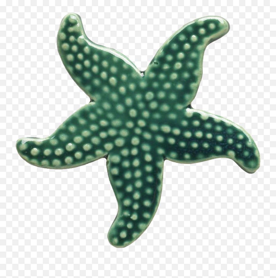 Teal Starfish Mosaic U2014 Custom Mosaics - Green Starfish Png,Star Fish Png