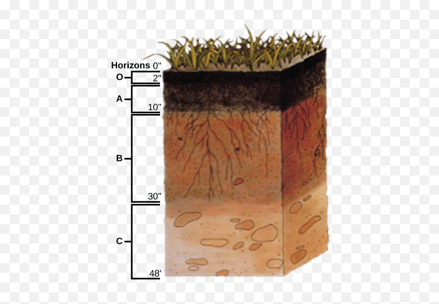 312c Physical Properties Of Soil - Biology Libretexts Meaning Of Soil Profile Png,Soil Png