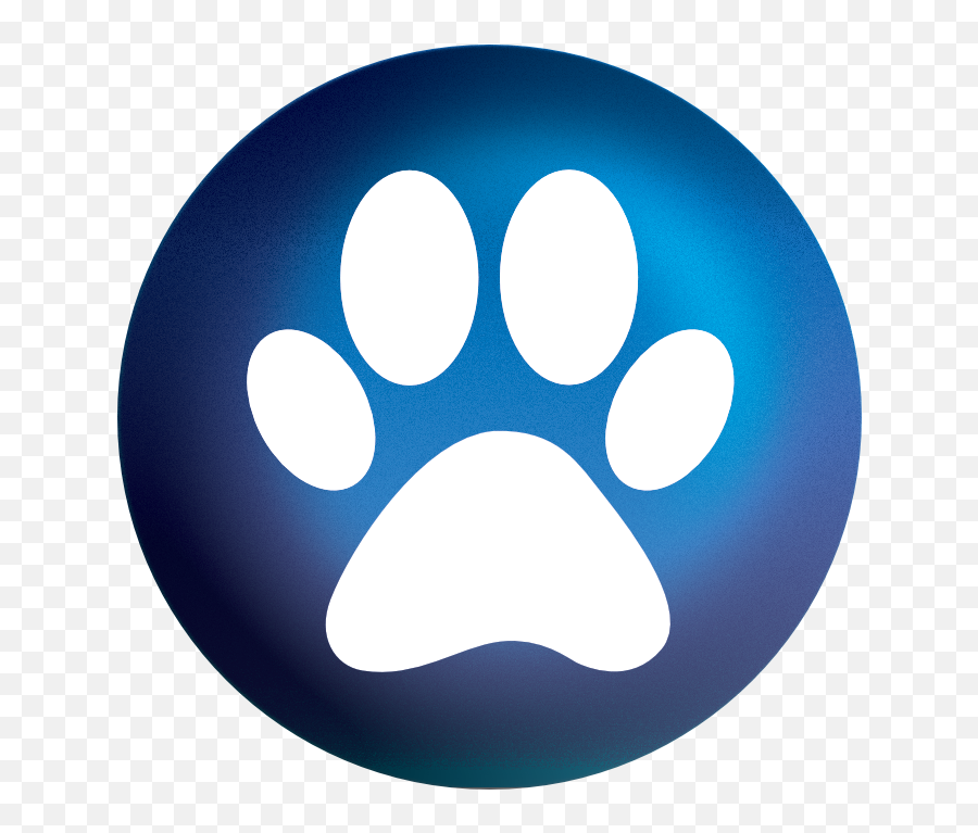 Paws Png - Warriors Cats Wallpaper Phone,Paws Png