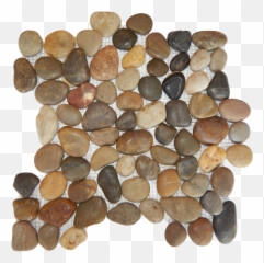 Rounded Polished Pebble Mosaics - River Pebble Tiles Png,Pebble Png