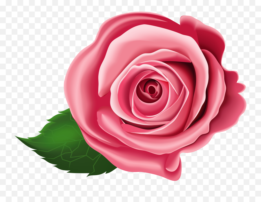 Download Rose Transparent Png Clip Art - Free Transparent Transparent Rose Clipart,Rose Transparent Png