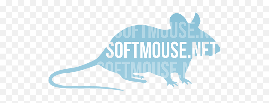 Softmousenet - Conflict Confidence Png,Mouse Rodent Icon