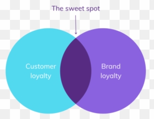 Customer Loyalty Vs Brand Satisfaction - Brand And Satisfaction png