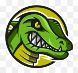 Reg Delta Squad Esports Team Starcraft 2 Lotv - Spiregg png