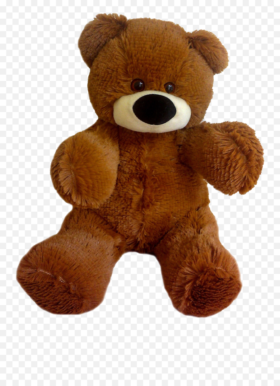 Teddy Bear Png
