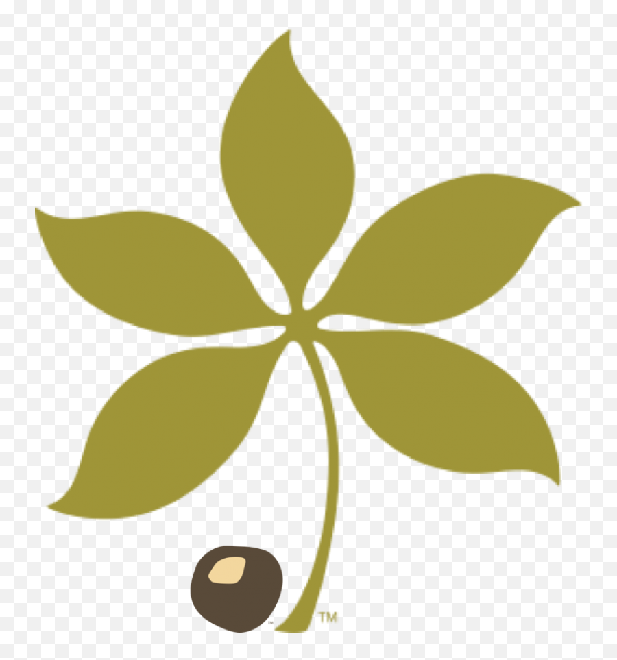 Tps Alumni Translational Plant Sciences Graduate Program - Buckeye Leaf Logo Png,Irene Icon