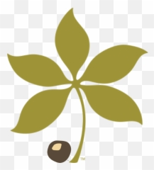 Tps Alumni Translational Plant Sciences Graduate Program - Buckeye Leaf Logo png