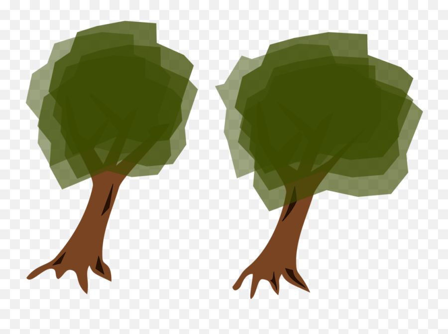 Plantleaftree Png Clipart - Royalty Free Svg Png Clip Art,Forest Trees Png