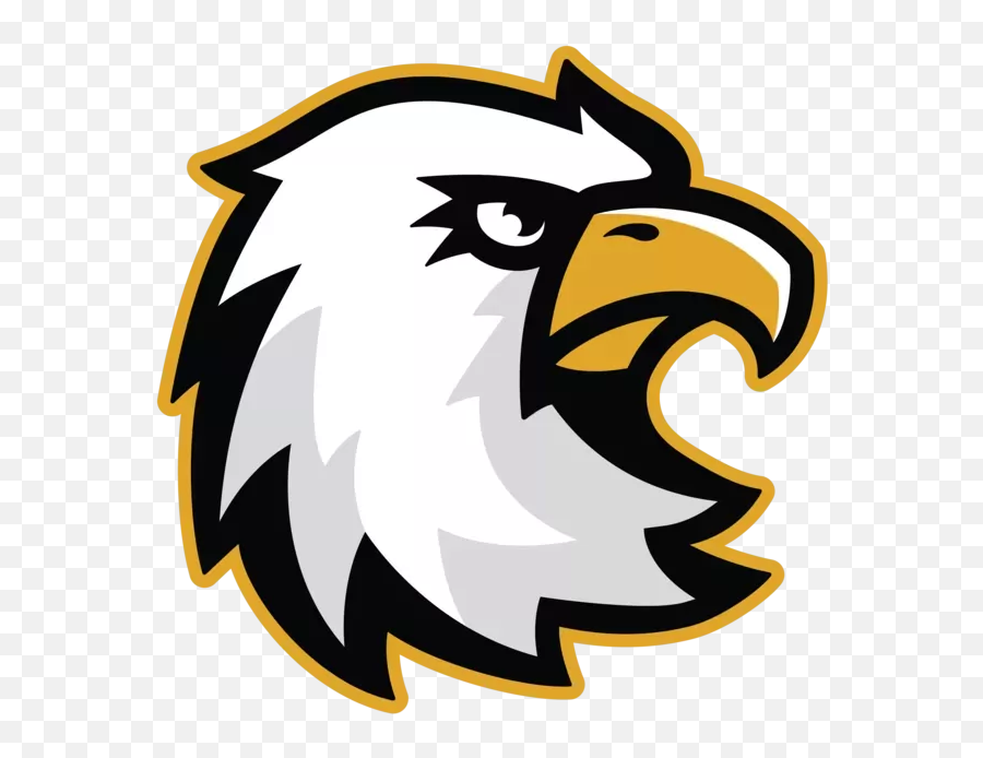 140 Eagles Logos Ideas In 2022 Mascot Png Eagle Head Icon