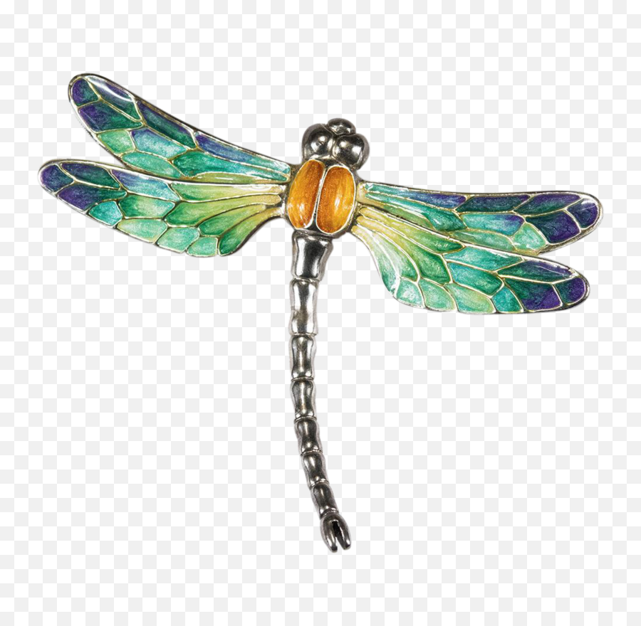 Png Images - Transparent Background Dragonfly Clip Art,Dragonfly Png