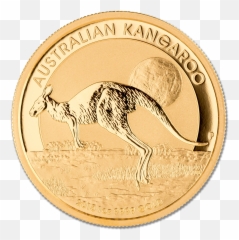 Download Gold Nugget Png Image With - Coin,Gold Nugget Png