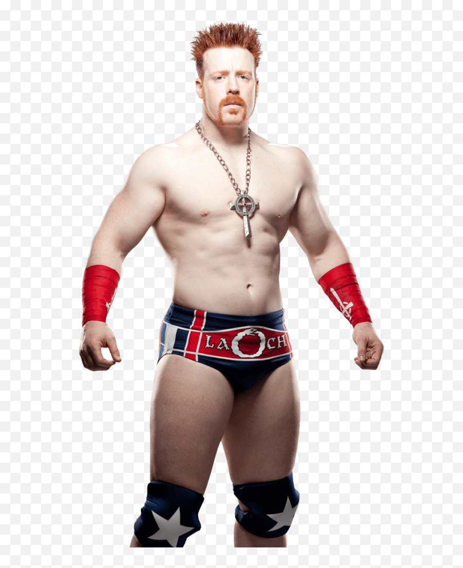 Talks Getting Bullied - Sheamus Vs Mark Henry Summerslam Png,Sheamus Png