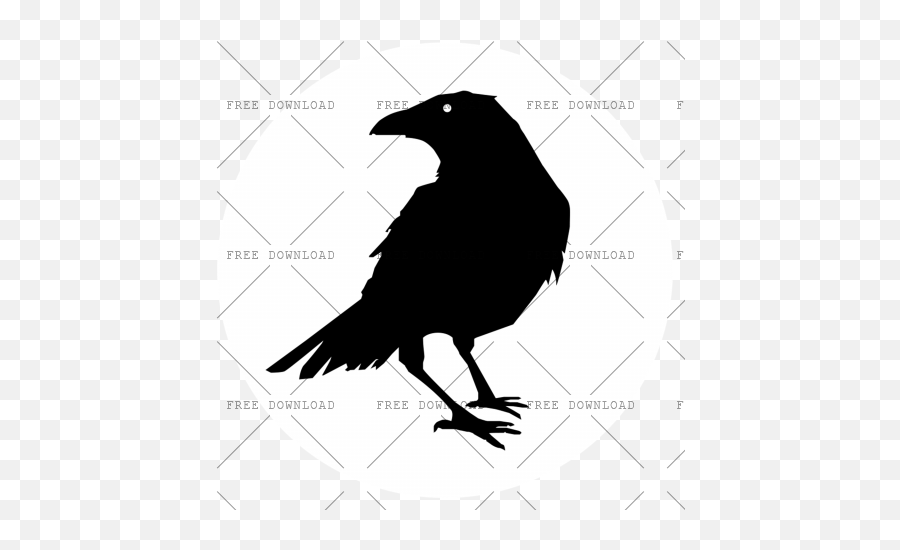 Crow Bird Png Image With Transparent - Royalty Free Raven Silhouette,Crow Transparent